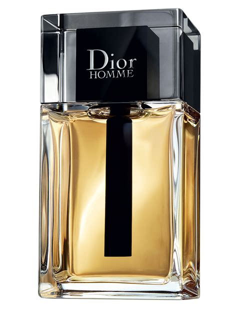 dior hommme